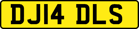 DJ14DLS