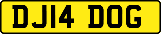 DJ14DOG