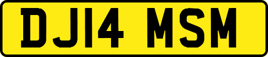 DJ14MSM