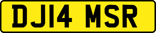 DJ14MSR
