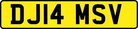 DJ14MSV