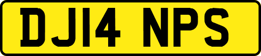 DJ14NPS