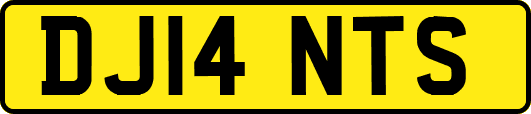 DJ14NTS