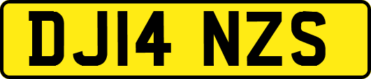 DJ14NZS