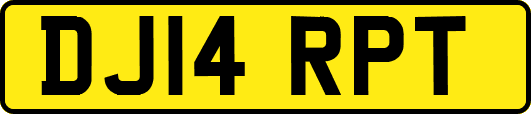 DJ14RPT