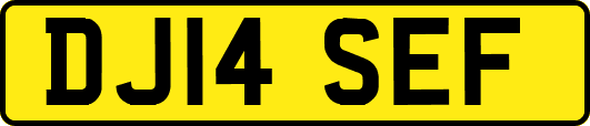 DJ14SEF