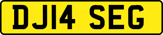 DJ14SEG