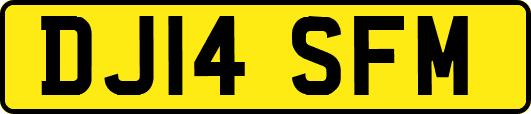 DJ14SFM