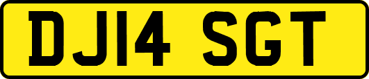 DJ14SGT