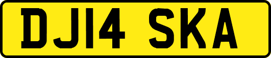 DJ14SKA