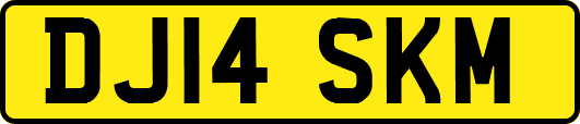 DJ14SKM