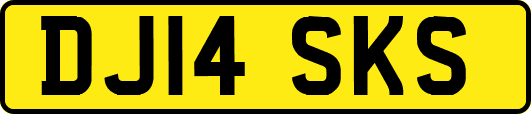 DJ14SKS