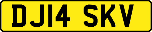 DJ14SKV