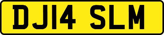 DJ14SLM