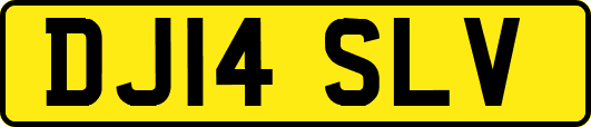 DJ14SLV