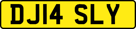 DJ14SLY