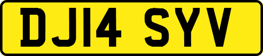 DJ14SYV