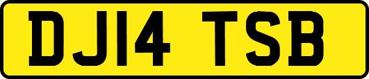 DJ14TSB
