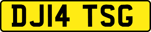 DJ14TSG