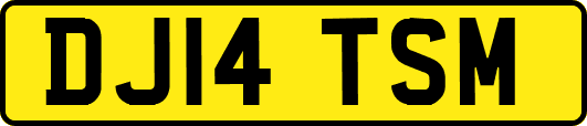 DJ14TSM