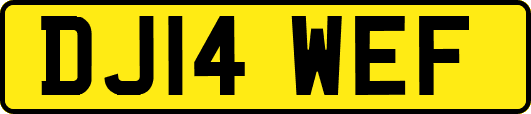 DJ14WEF