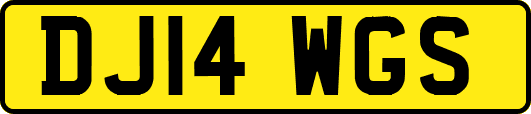 DJ14WGS