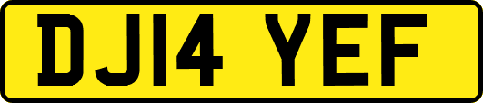 DJ14YEF