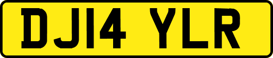 DJ14YLR