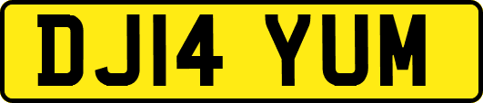 DJ14YUM