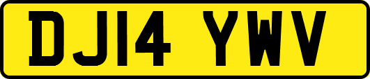 DJ14YWV