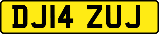 DJ14ZUJ