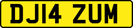 DJ14ZUM