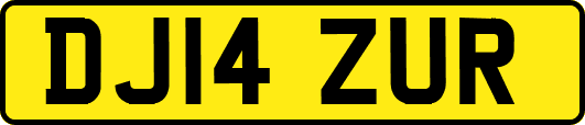 DJ14ZUR