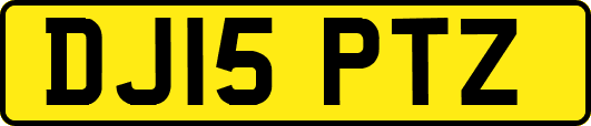DJ15PTZ