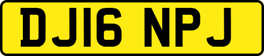 DJ16NPJ