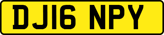 DJ16NPY