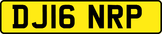 DJ16NRP
