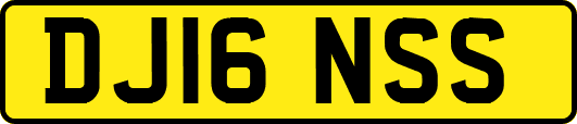 DJ16NSS