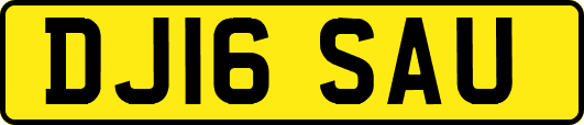 DJ16SAU