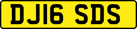 DJ16SDS