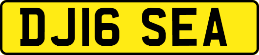 DJ16SEA