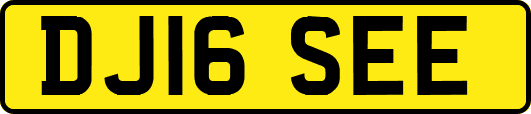 DJ16SEE