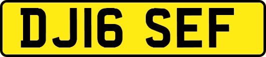 DJ16SEF