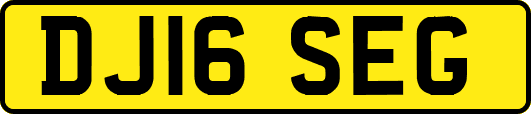 DJ16SEG