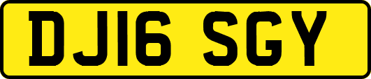 DJ16SGY