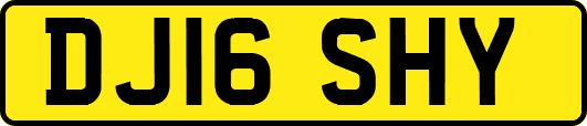 DJ16SHY