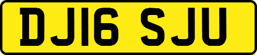 DJ16SJU
