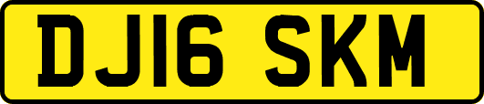DJ16SKM