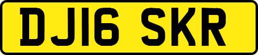 DJ16SKR