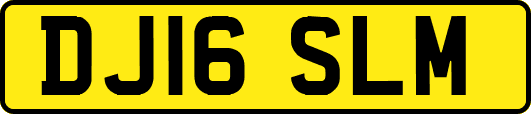DJ16SLM